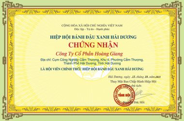 chung-nhan-hiep-hoi chung-nhan-hiep-hoi